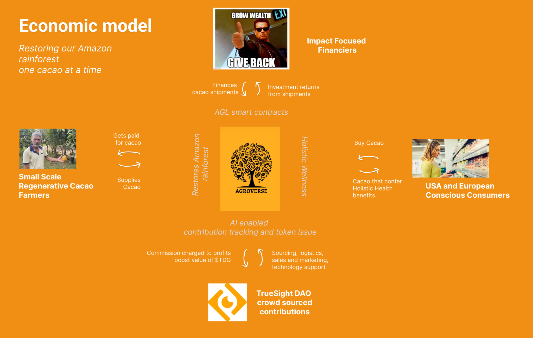 Diagram from the whitepaper
